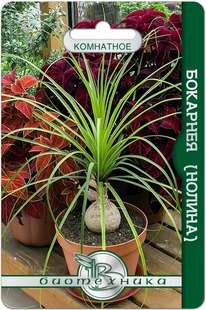 �������� (������)