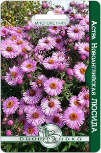 ����� ����-���������� ������