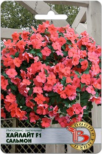 ��������� ��������� �������� F1 �������