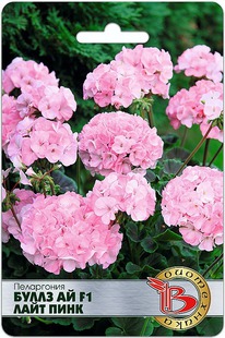 ���������� ����� �� F1 ���� ����