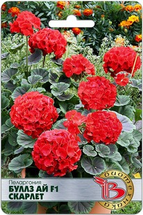 ���������� ����� �� F1 �������