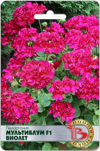 ���������� ���������� F1 ������