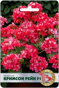 ���������� ������� ���� F1