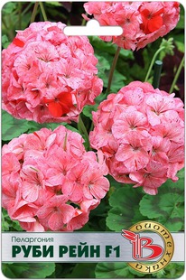 ���������� ���� ���� F1