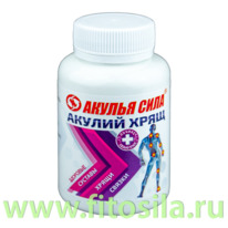 ������ ����. ������ ����