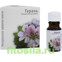 ������ ����� 10 ��, 