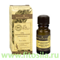 ��� 100% ������� ����� 10 ��, 