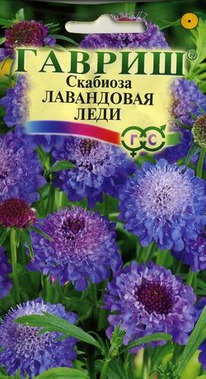 �������� ���������� ����,��������