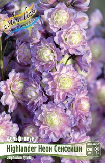 ���������� HIGHLANDER ���� ��������