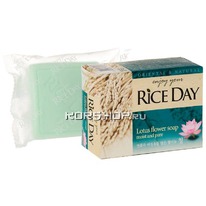 ���� � ���������� ������ Rice Day CJ Lion, �����, 100 � �����