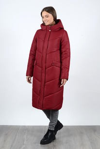 ������ ������