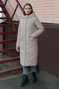 ������ ������