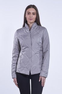 ������ ����