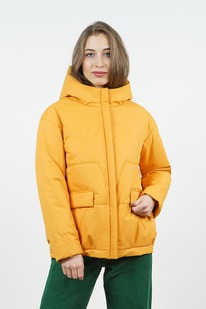 ������ ����