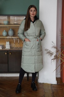 ������ ����