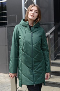 ���������� ����