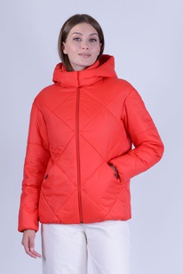 ������ ����