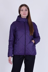 ������ ����