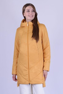 ���������� ����