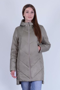 ���������� ����