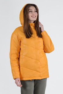 ������ ����