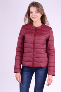 ������ ����