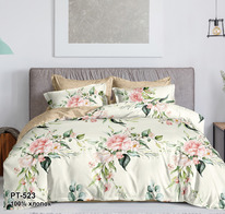 ������� ���������� ����� �� ������� - 523 (���)