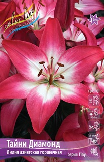 ����� ����� �������, 10/12, ��.����.