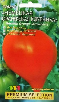 ����� �������� ��������� ��������