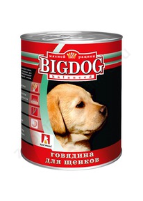 ���� ��� ������ ��������� Big Dog � ��������� 850�