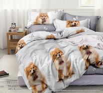 ������� ���������� ����� �� ������� ���� ( 2231)