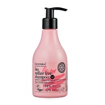 NATURA SIBERICA Hair Evolution  / Be-Color    