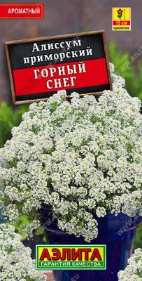 ������ ���� �������