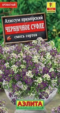 ��������� �����, ����� ������ �������