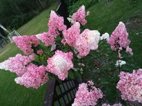 ��������� ������ �����