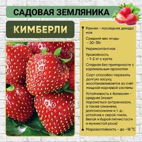 ��������� ��������