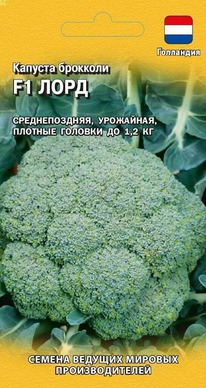 ������� �������� ���� F1 (����������� ������)