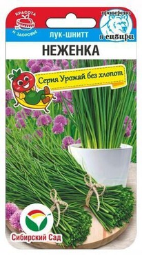 ��� ����� �������