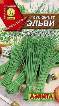 ��� ����� �����