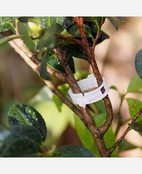 ������ ��� �������� ��������, ����� 50 �� 9046243