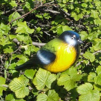 ������ ��� ���� ������ 14��