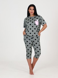 ��-309 ������ �������� ������