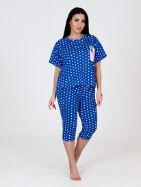 ��-309 ������ �������� ������ (�������)