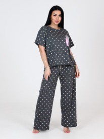 ��-309 ����� �������� ������� ������ (�����-�������)