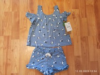 ������ ������