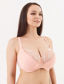 2215 �����������