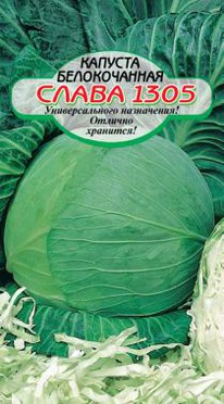 ����� 1305 �/� �������  ������������