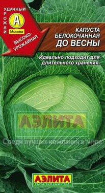 �� ����� �/� �������