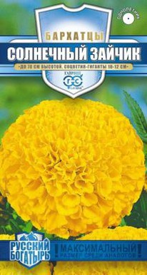 ��������� ������ ��������