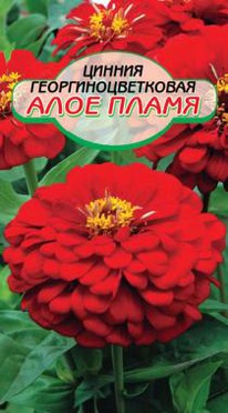 ������ ���� ����� �/�